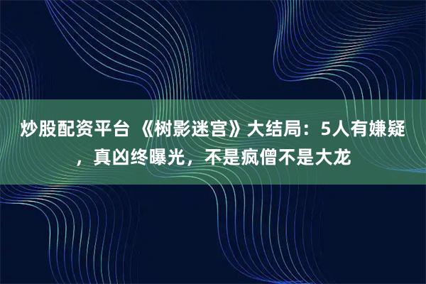 炒股配资平台 《树影迷宫》大结局：5人有嫌疑，真凶终曝光，不是疯僧不是大龙