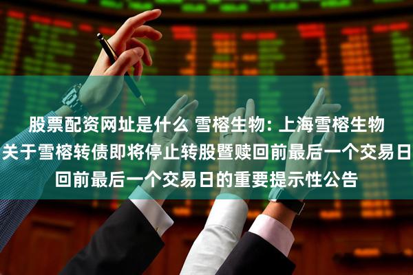 股票配资网址是什么 雪榕生物: 上海雪榕生物科技股份有限公司关于雪榕转债即将停止转股暨赎回前最后一个交易日的重要提示性公告