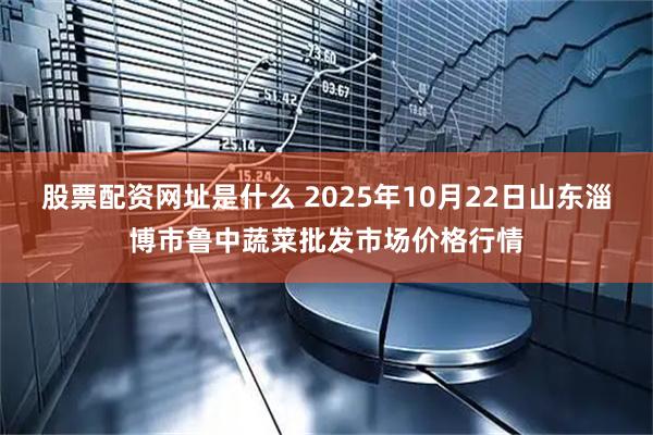 股票配资网址是什么 2025年10月22日山东淄博市鲁中蔬菜批发市场价格行情