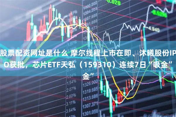 股票配资网址是什么 摩尔线程上市在即、沐曦股份IPO获批，芯片ETF天弘（159310）连续7日“吸金”