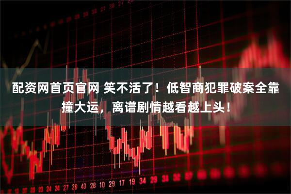 配资网首页官网 笑不活了！低智商犯罪破案全靠撞大运，离谱剧情越看越上头！