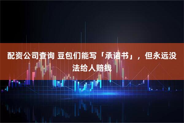 配资公司查询 豆包们能写「承诺书」，但永远没法给人赔钱