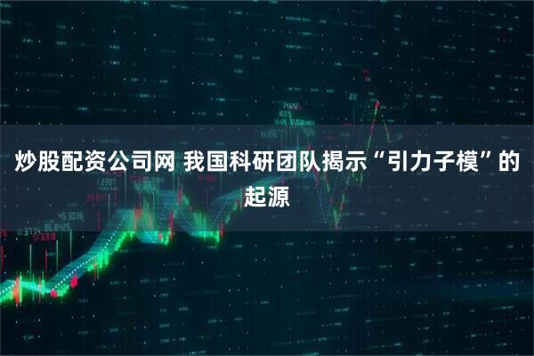 炒股配资公司网 我国科研团队揭示“引力子模”的起源