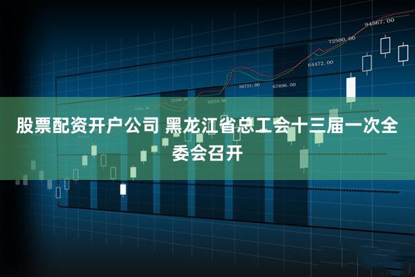 股票配资开户公司 黑龙江省总工会十三届一次全委会召开